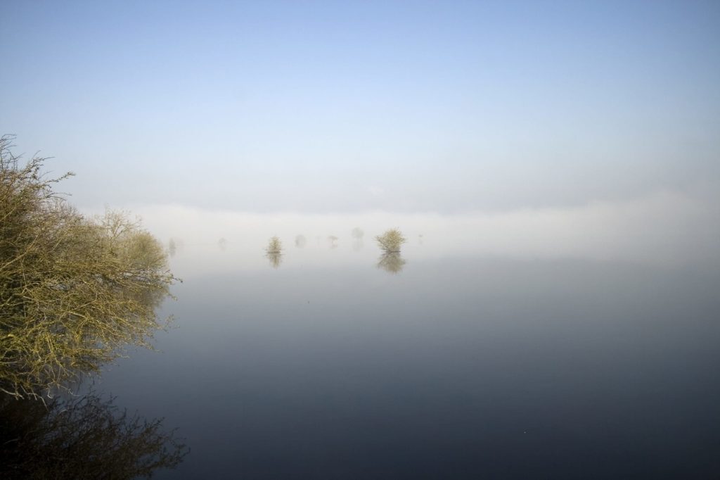Fog over the flooded shannon river in Ireland