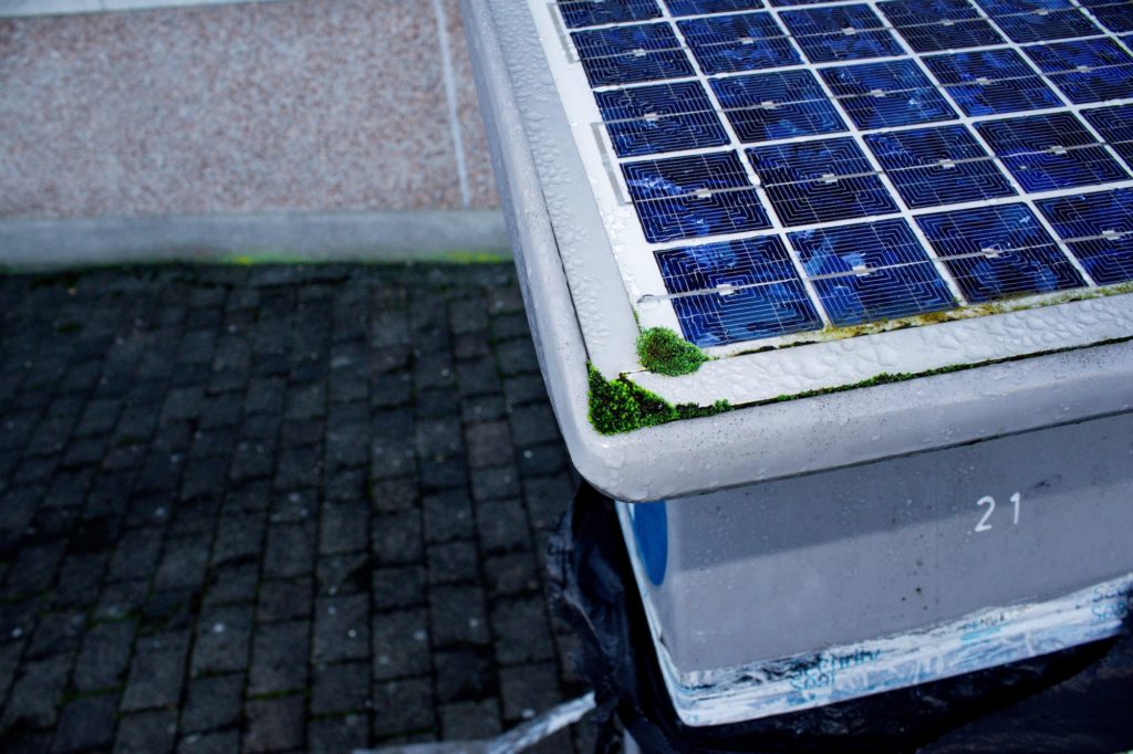 Unused solar parking meter with green moss starting to take over.